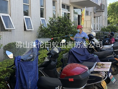 明城厂区杀虫灭蚊工程