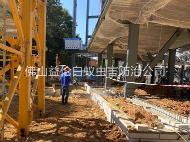 杨梅新建白蚁预防工程