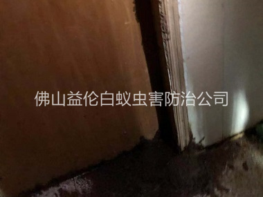 合水房屋防治白蚁工程