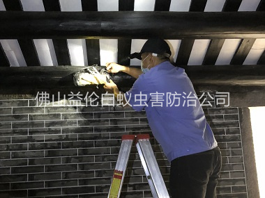佛山祠堂杀灭白蚁工程