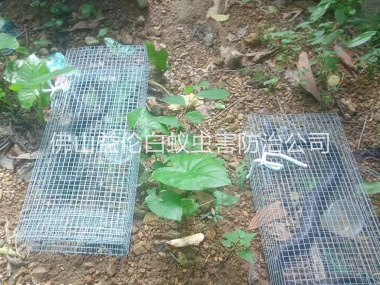 富湾驱蛇防蛇工程