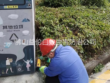 三洲施药灭鼠工程