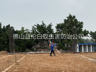 荷城新建地基预防白蚁工程