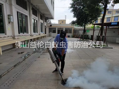 合水镇下水道灭蚊虫工程