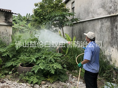更合社区消灭蚊子工程