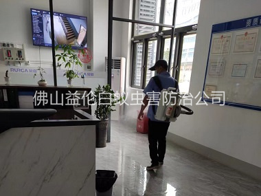 杨梅室内杀灭蚊蝇工程