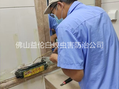杨梅诱杀箱施药灭杀白蚁工程