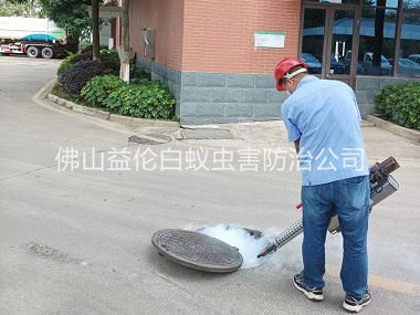 更合杀灭蟑螂蚊蝇工程