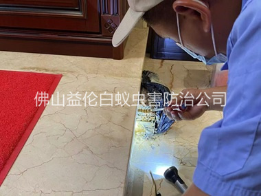 更合装置诱杀箱监测白蚁工程